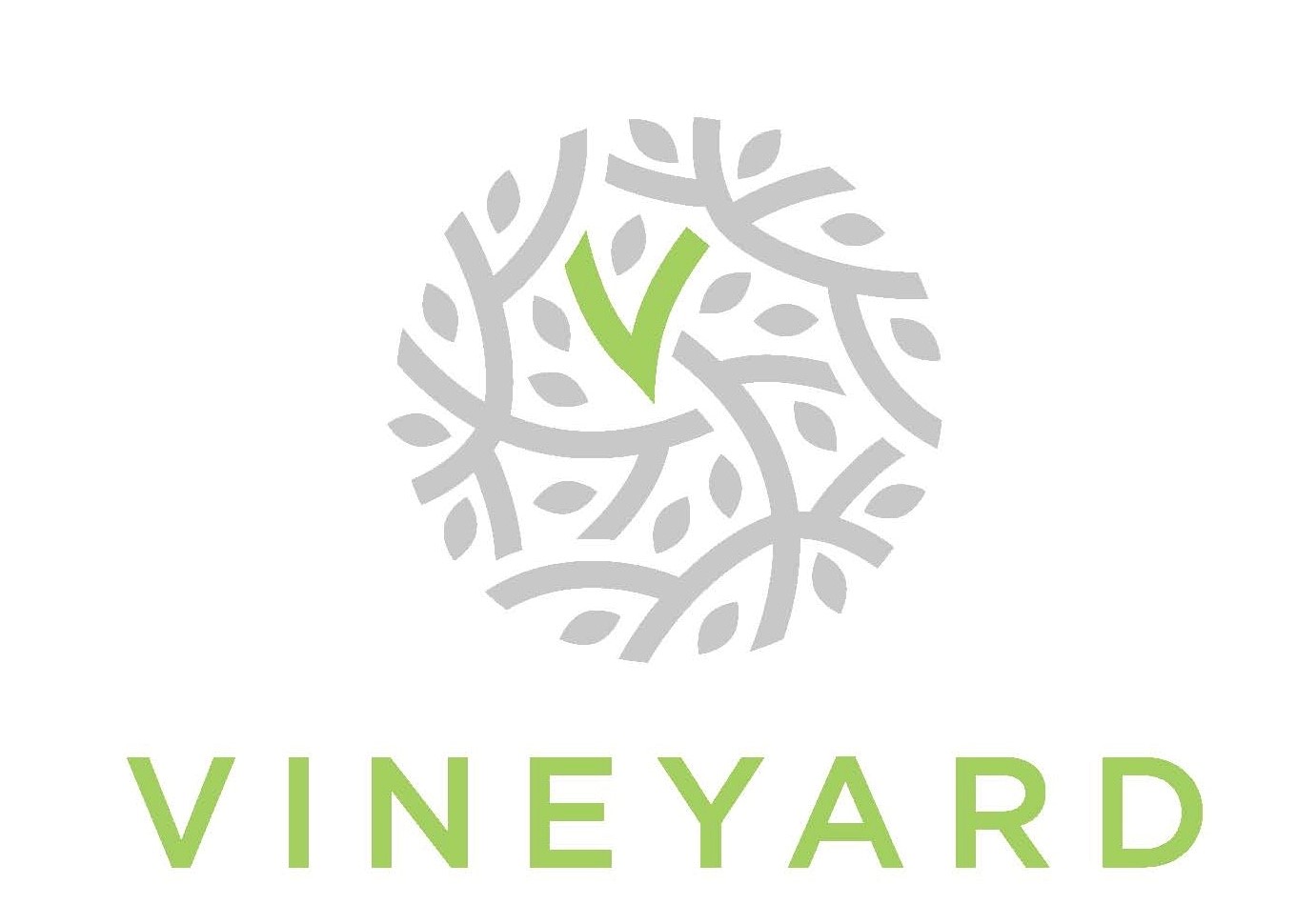 Vineyard Bluffton.jpg