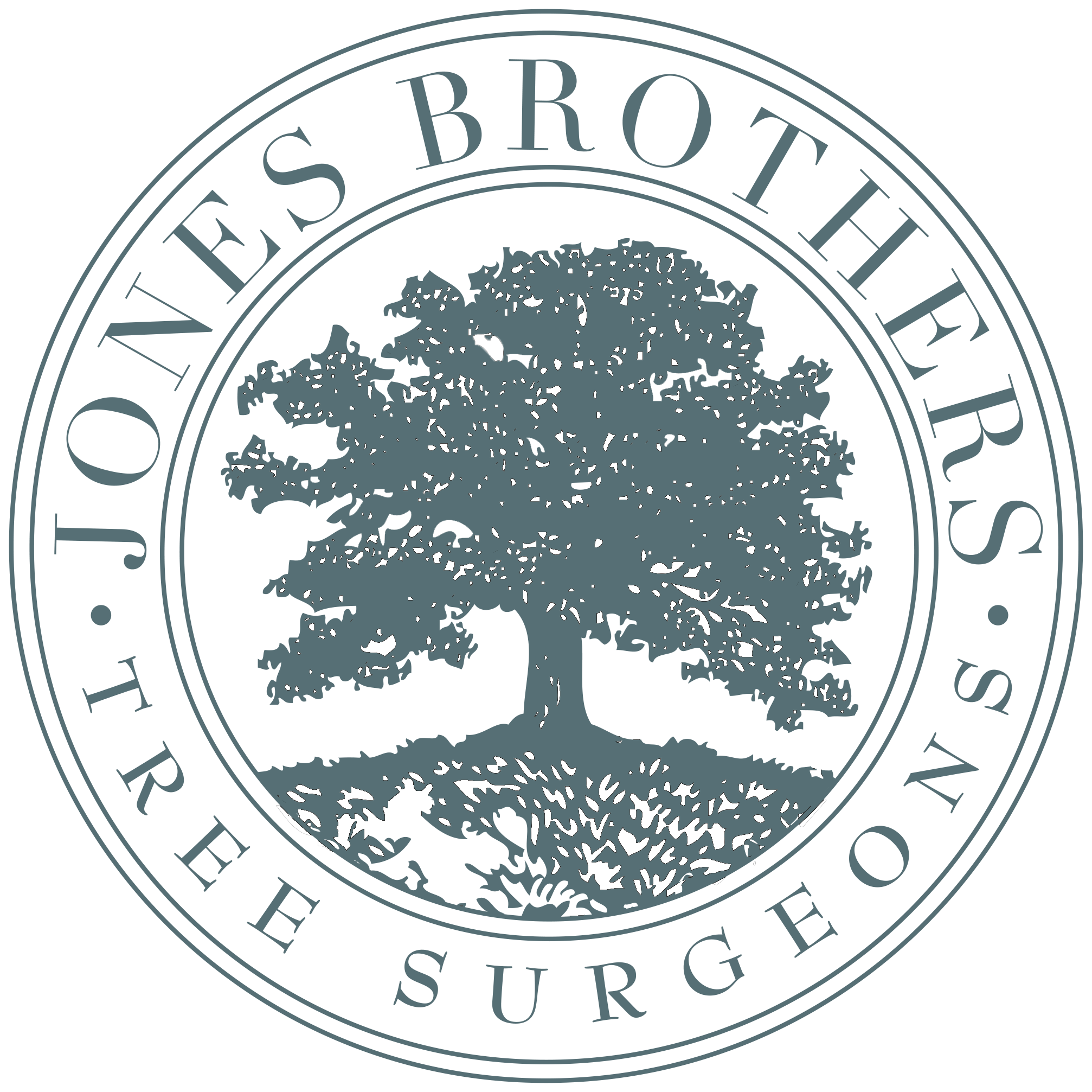 Jones Brothers Tree.png