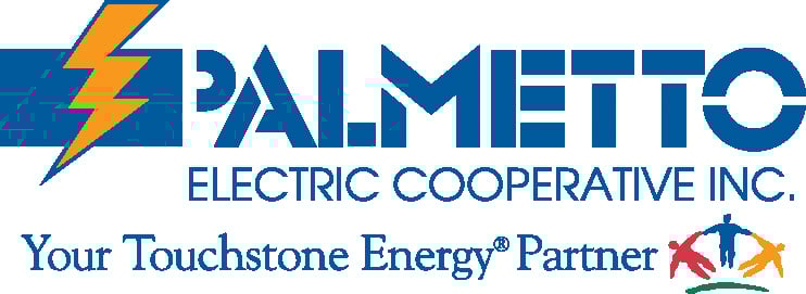 palmetto electric logo
