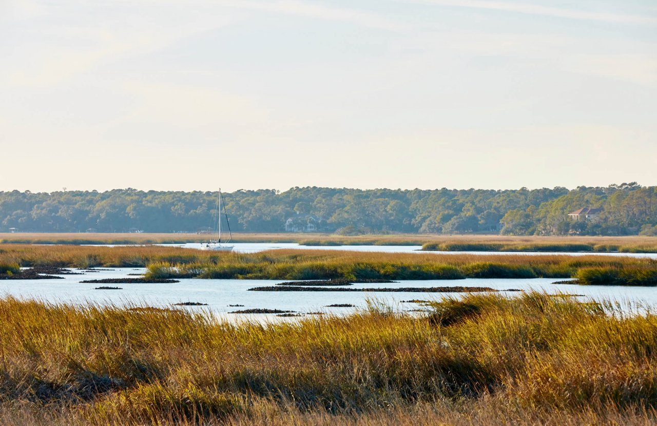 landscape shot of grassy marsh lowlands