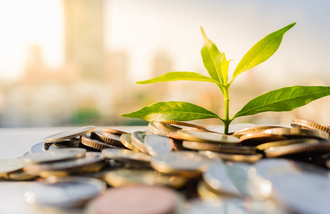 A plant sprouting while surrounded by coins