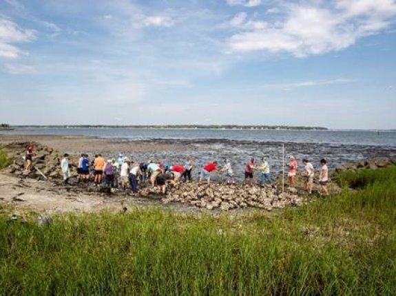 Sea Pines Oysters2.jpg