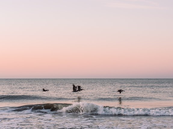 water saving resources