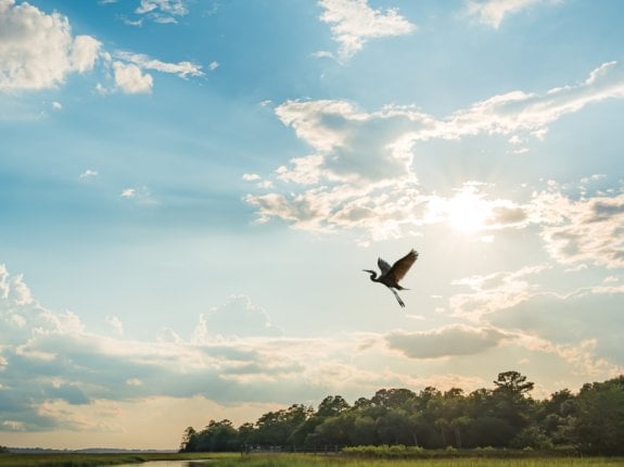 green business tips & best practices