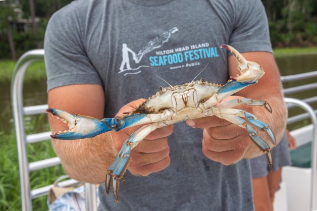2019 Hilton Head Island Seafood Festival