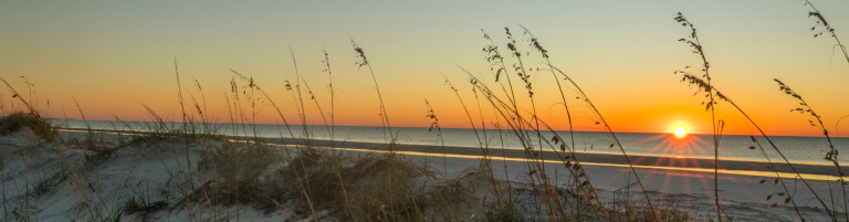 grass by the coast