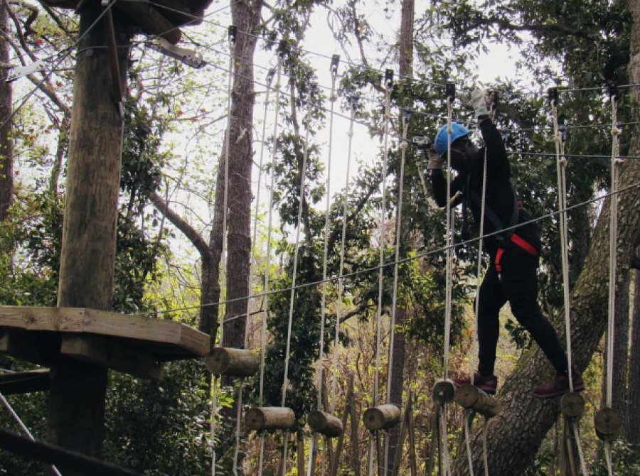 Zipline