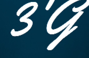 3G